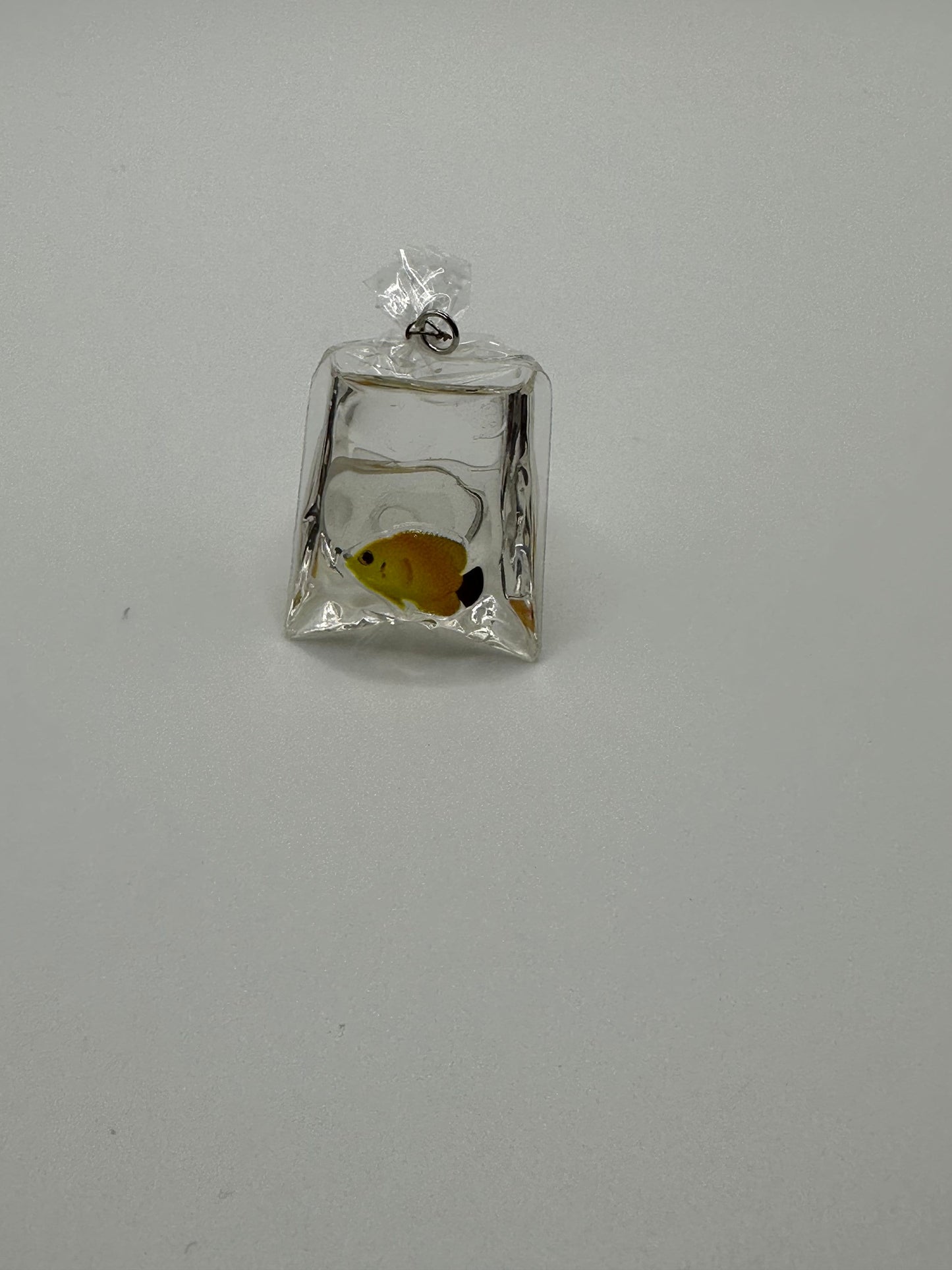 Bagged Fish Shoe Charms | aquarium | shoe charm | reef fish | coral reef | shoe pet