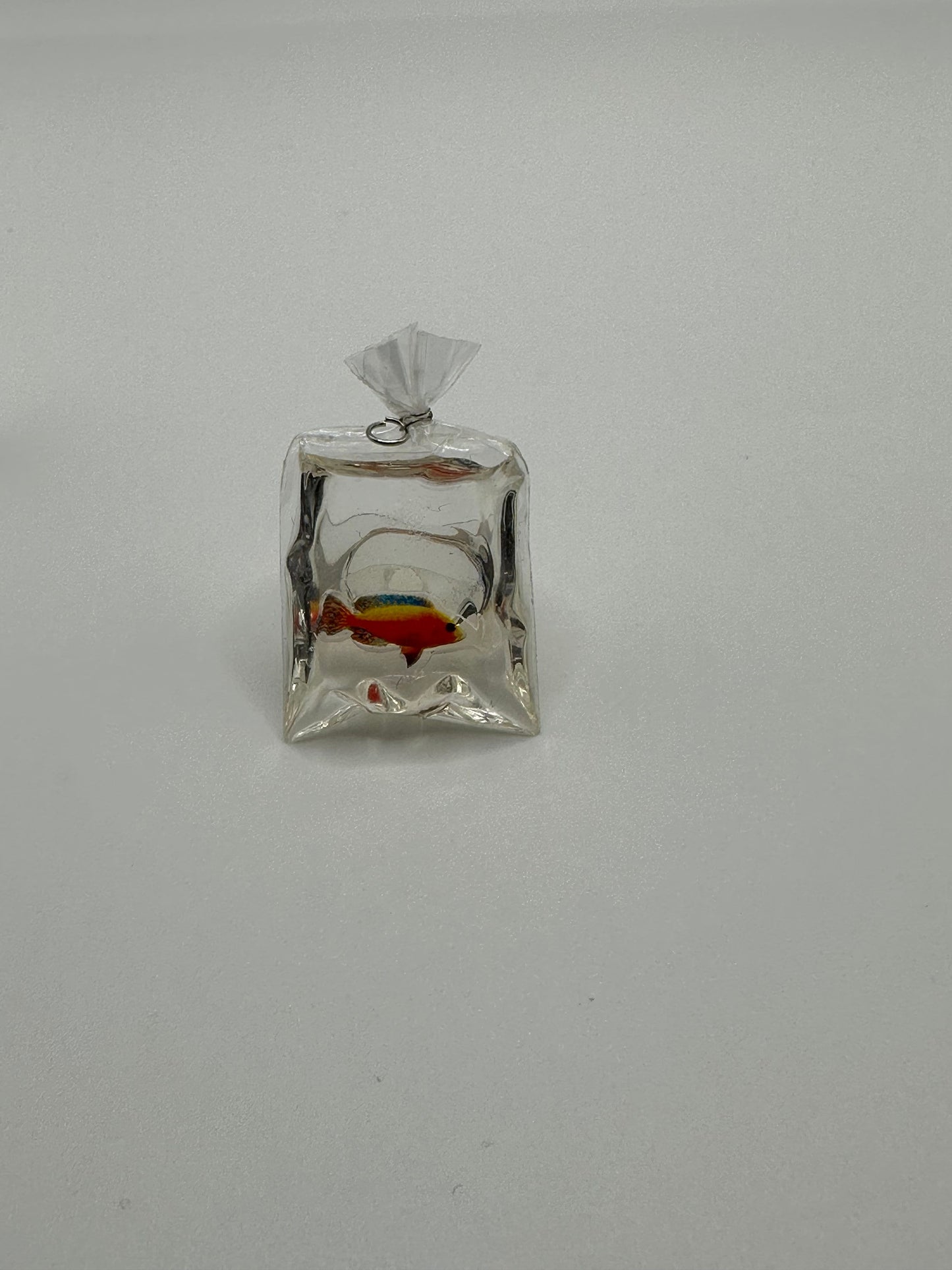 Bagged Fish Shoe Charms | aquarium | shoe charm | reef fish | coral reef | shoe pet