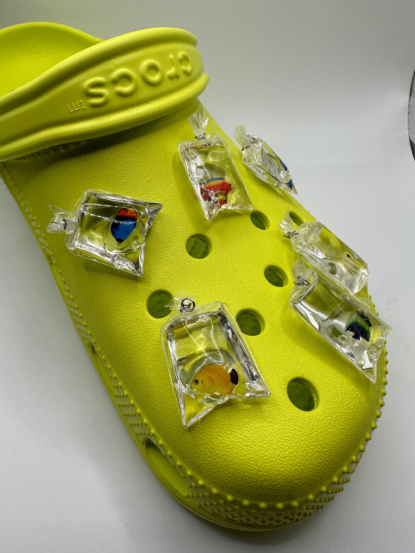 Bagged Fish Shoe Charms | aquarium | shoe charm | reef fish | coral reef | shoe pet