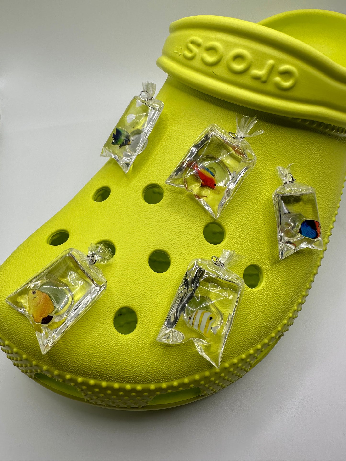 Bagged Fish Shoe Charms | aquarium | shoe charm | reef fish | coral reef | shoe pet