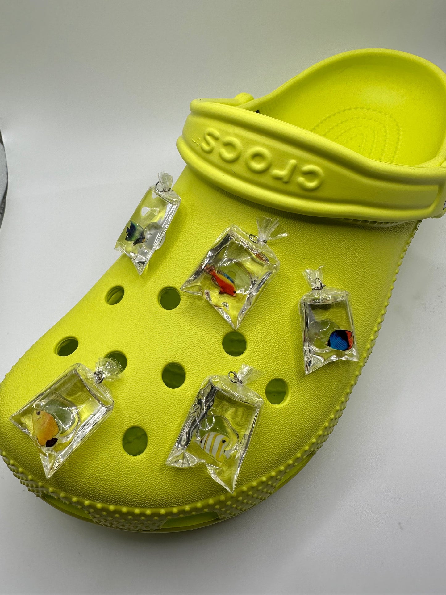 Bagged Fish Shoe Charms | aquarium | shoe charm | reef fish | coral reef | shoe pet