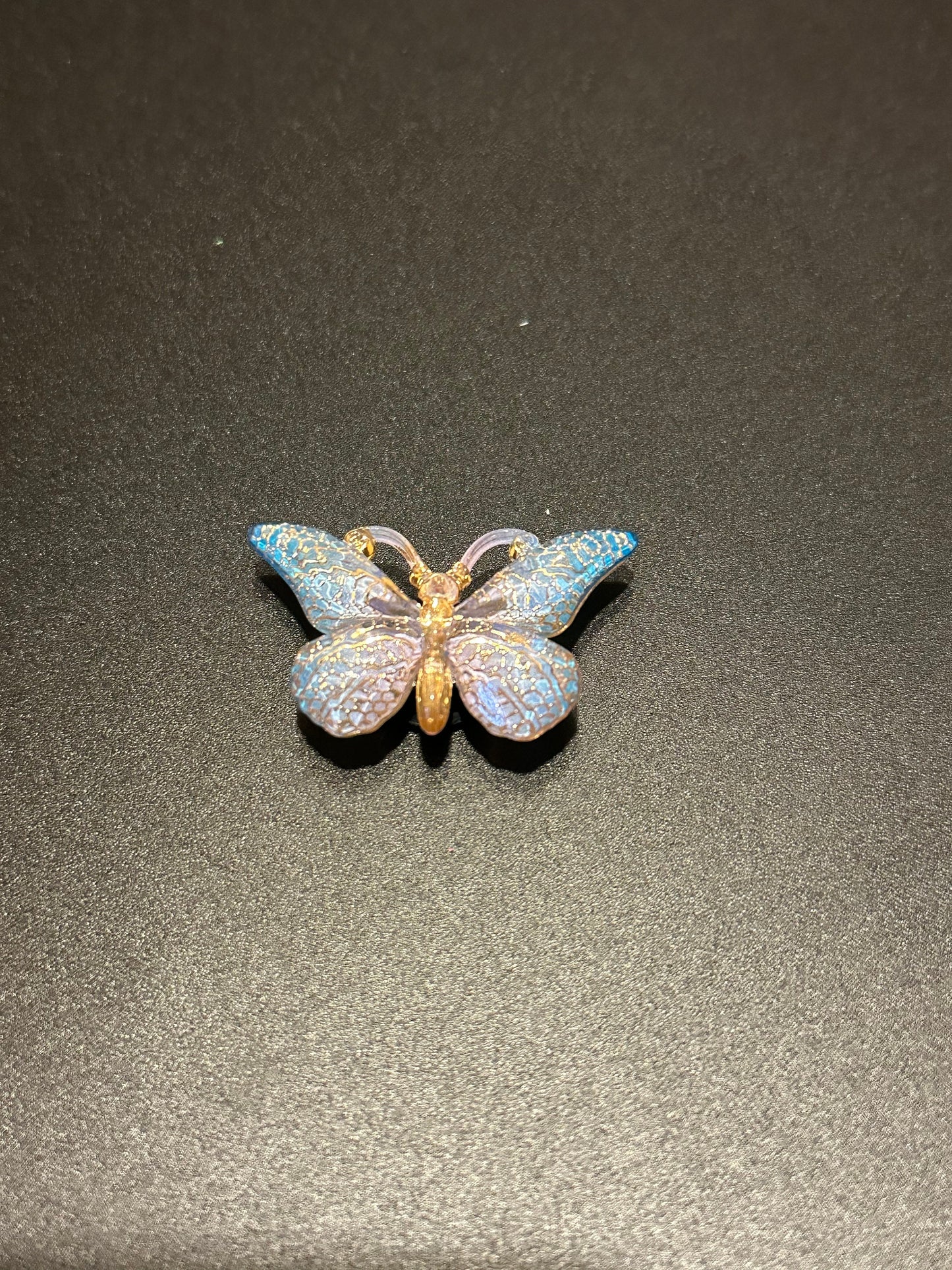 Butterfly | Shoe Chams | Kawaii | Colorful