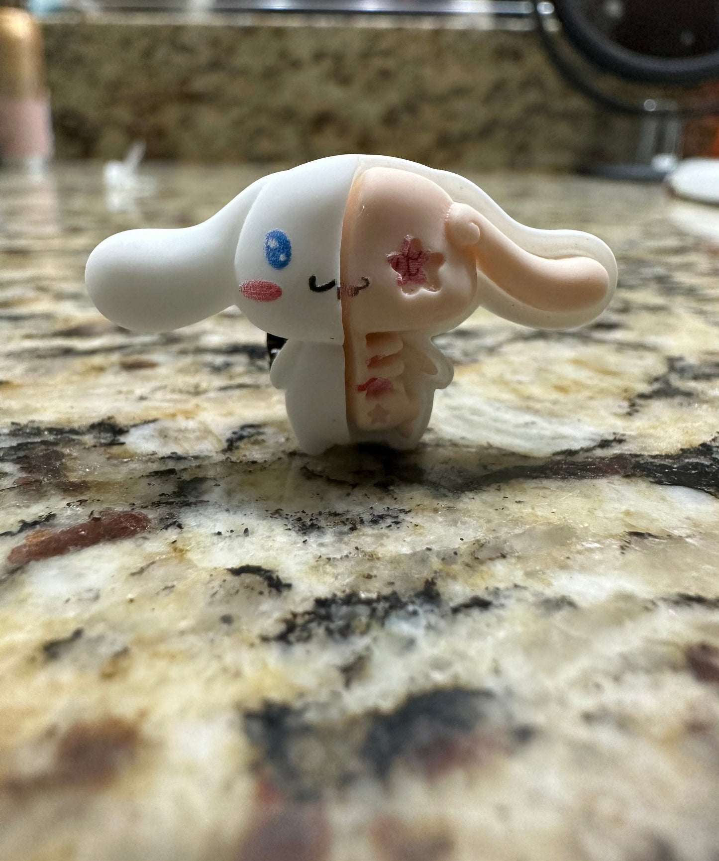 Kaitai | Kawaii | charms | Sanriod | skeleton | Kuromi | Melody | Hi Kitty | Pompompurin | shoe | X-ray tech | Cinnamoroll | anatomy |