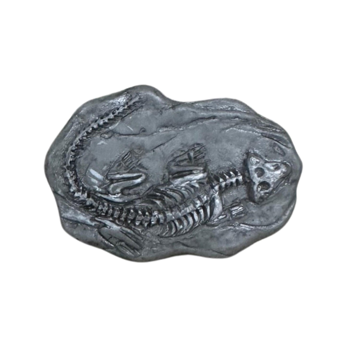 Fossil| fossil shoe charm| fossils| paleontology| shoe charms | gifts for boys| curiosity| Exploration| Starfish| Dinosaur, fossil|