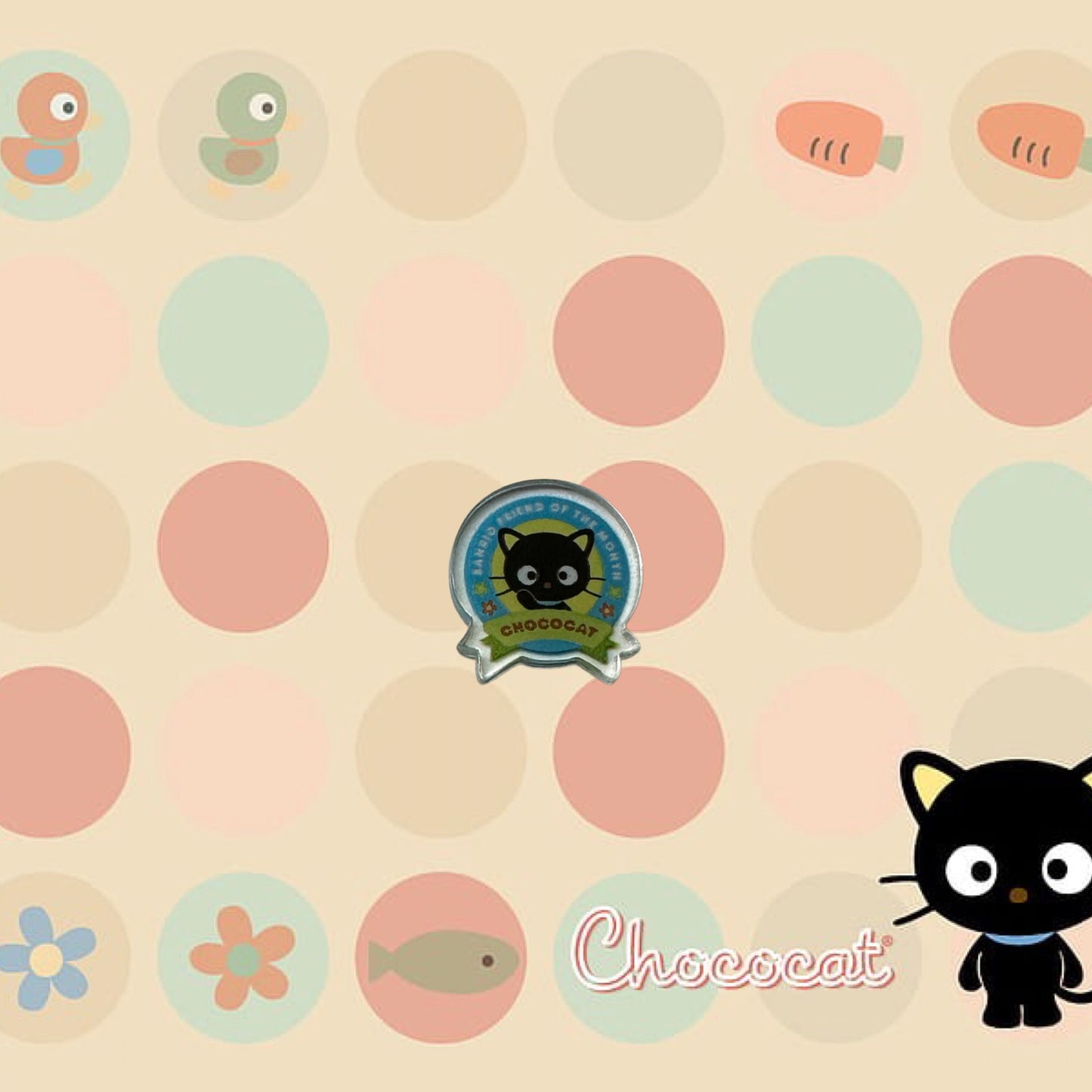 Random Choco ca shoe charms | Chocolate kitty| choccat | shoe charms | kawaii | Black cat | 1,3,5,10 pcs | Sanri | lucky cat | Black kitty|