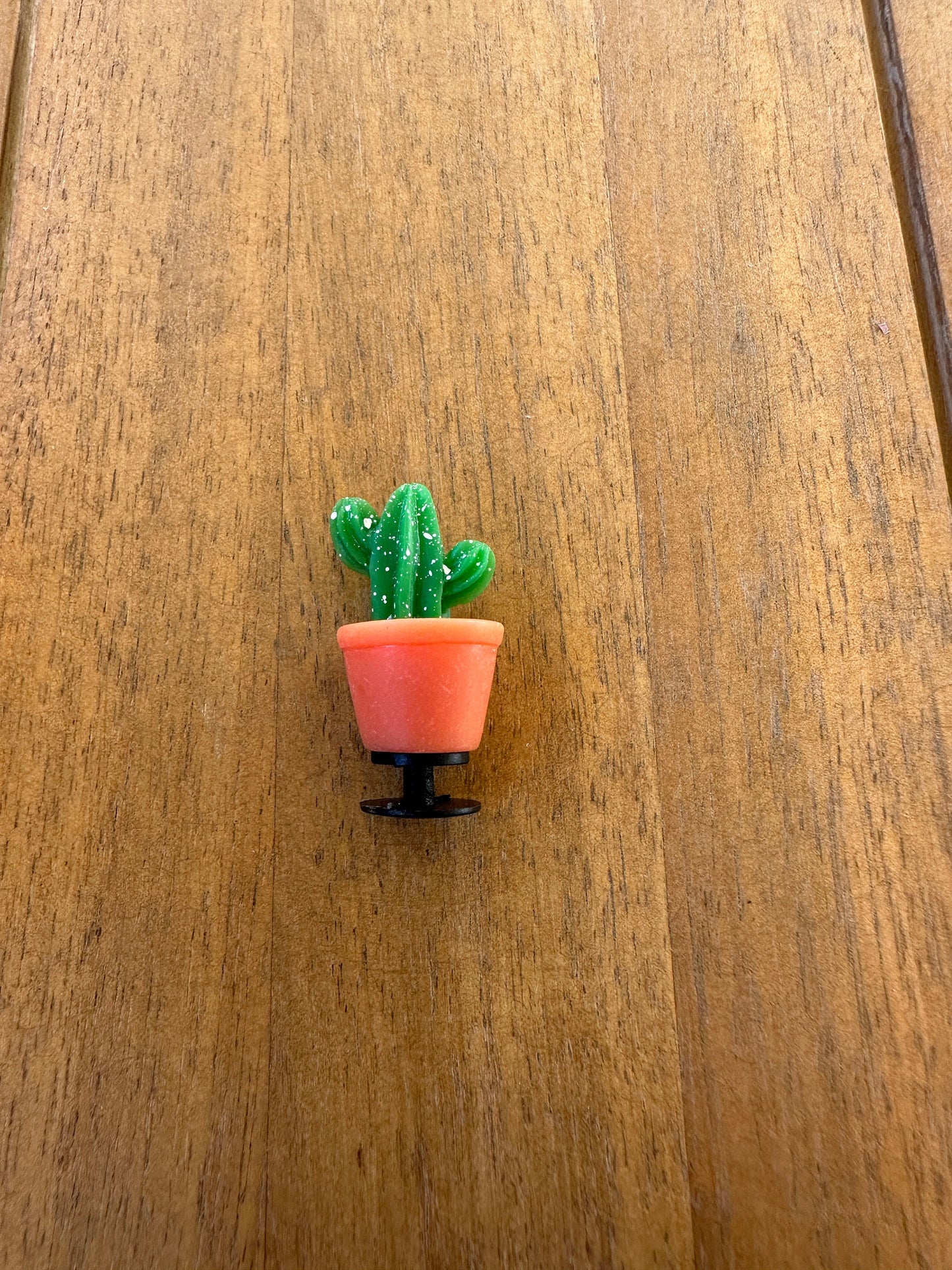 Succulent Shoe Charm |Cactus charm| Water charm | Potted plant |Plant Shoe Charm| Unique | Monstera | Spider Plant |Nature| succulent