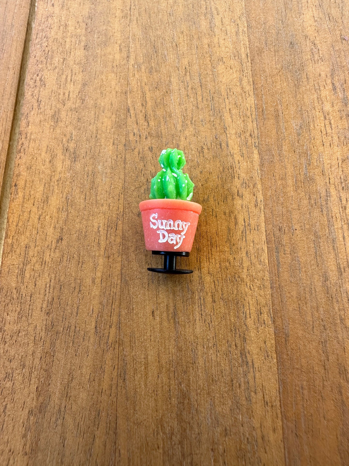 Succulent Shoe Charm |Cactus charm| Water charm | Potted plant |Plant Shoe Charm| Unique | Monstera | Spider Plant |Nature| succulent