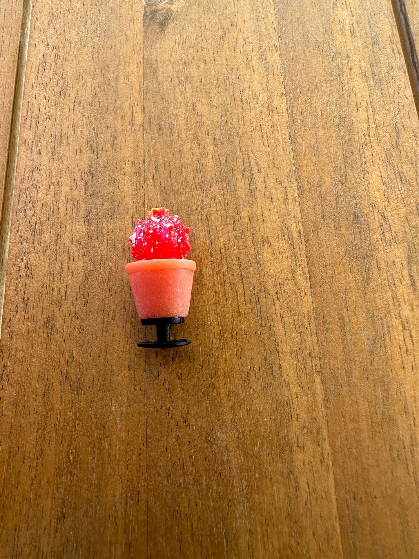 Succulent Shoe Charm |Cactus charm| Water charm | Potted plant |Plant Shoe Charm| Unique | Monstera | Spider Plant |Nature| succulent