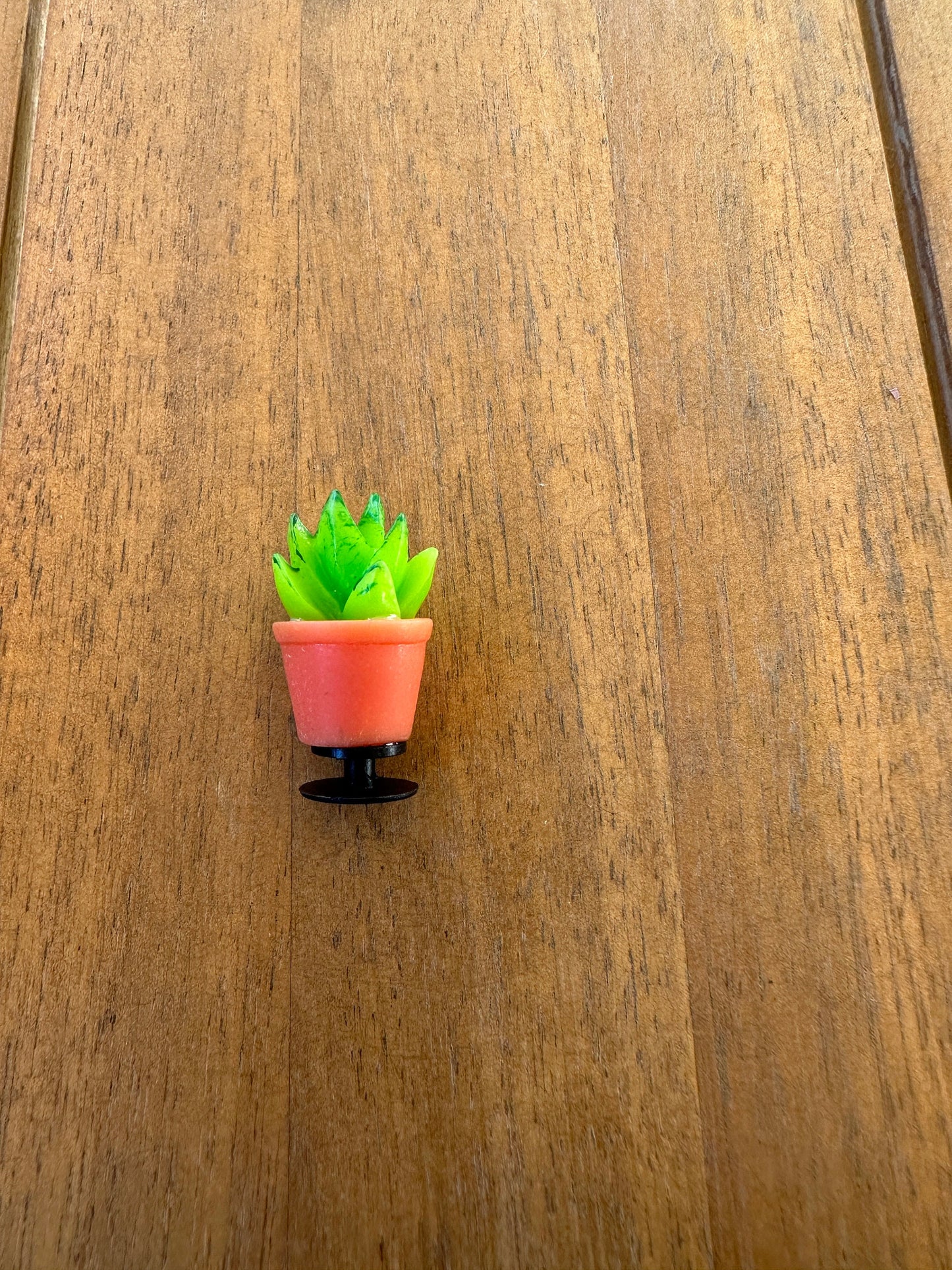 Succulent Shoe Charm |Cactus charm| Water charm | Potted plant |Plant Shoe Charm| Unique | Monstera | Spider Plant |Nature| succulent