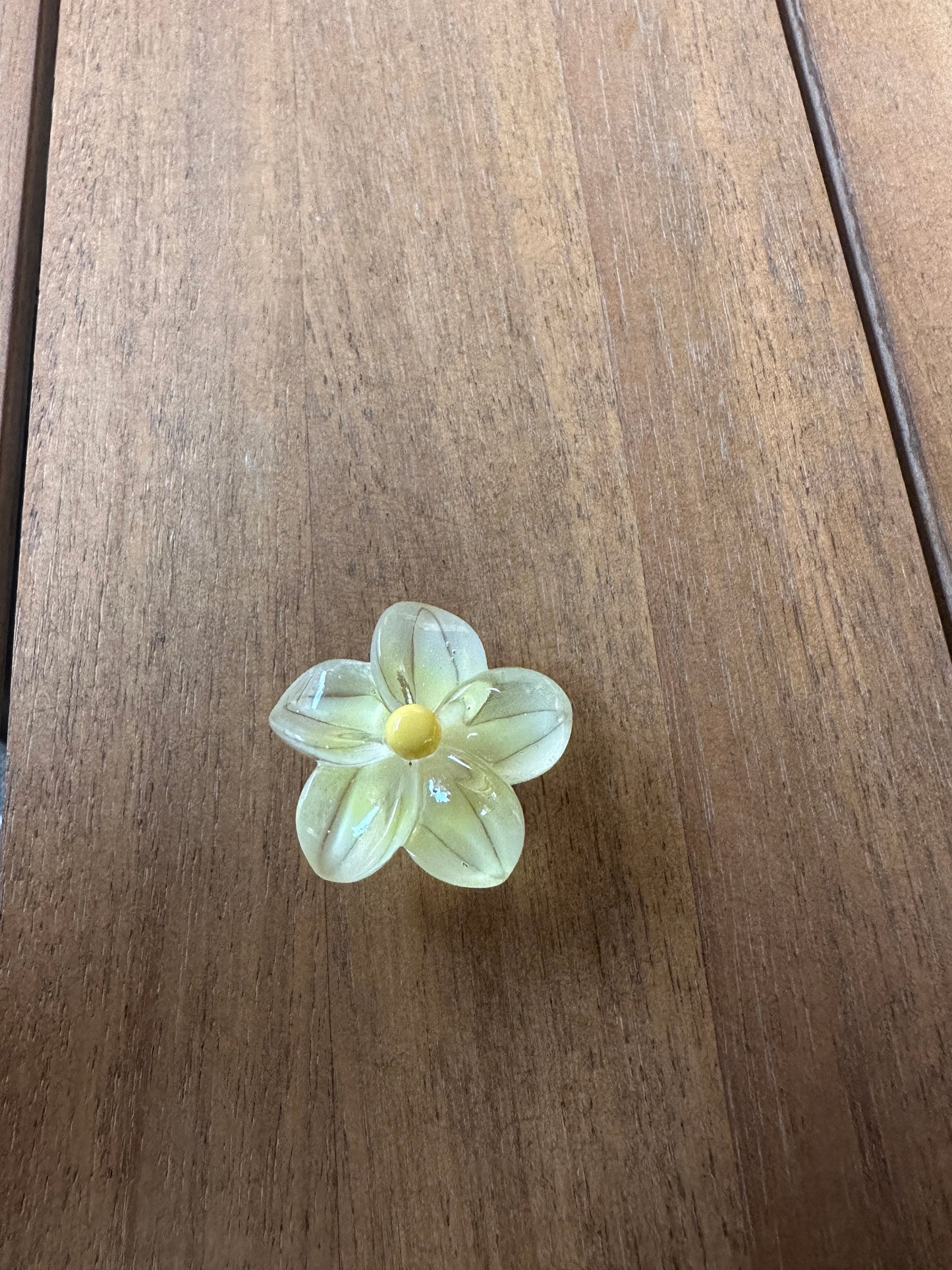 Jelly Flowers | Jelly flower shoe charms | kawaii charms | Hawaiian flower | floral | flower shoe charms | Jelly | star flower