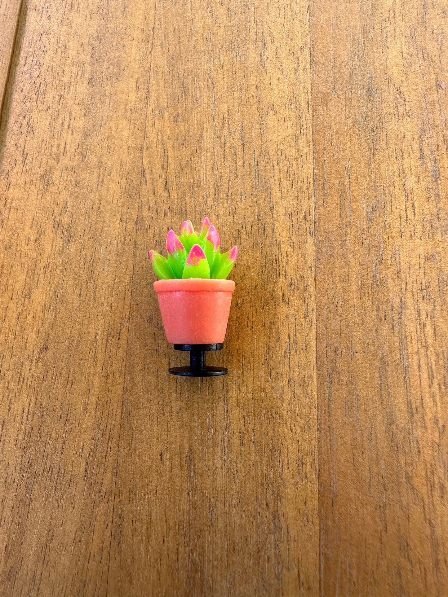 Succulent Shoe Charm |Cactus charm| Water charm | Potted plant |Plant Shoe Charm| Unique | Monstera | Spider Plant |Nature| succulent