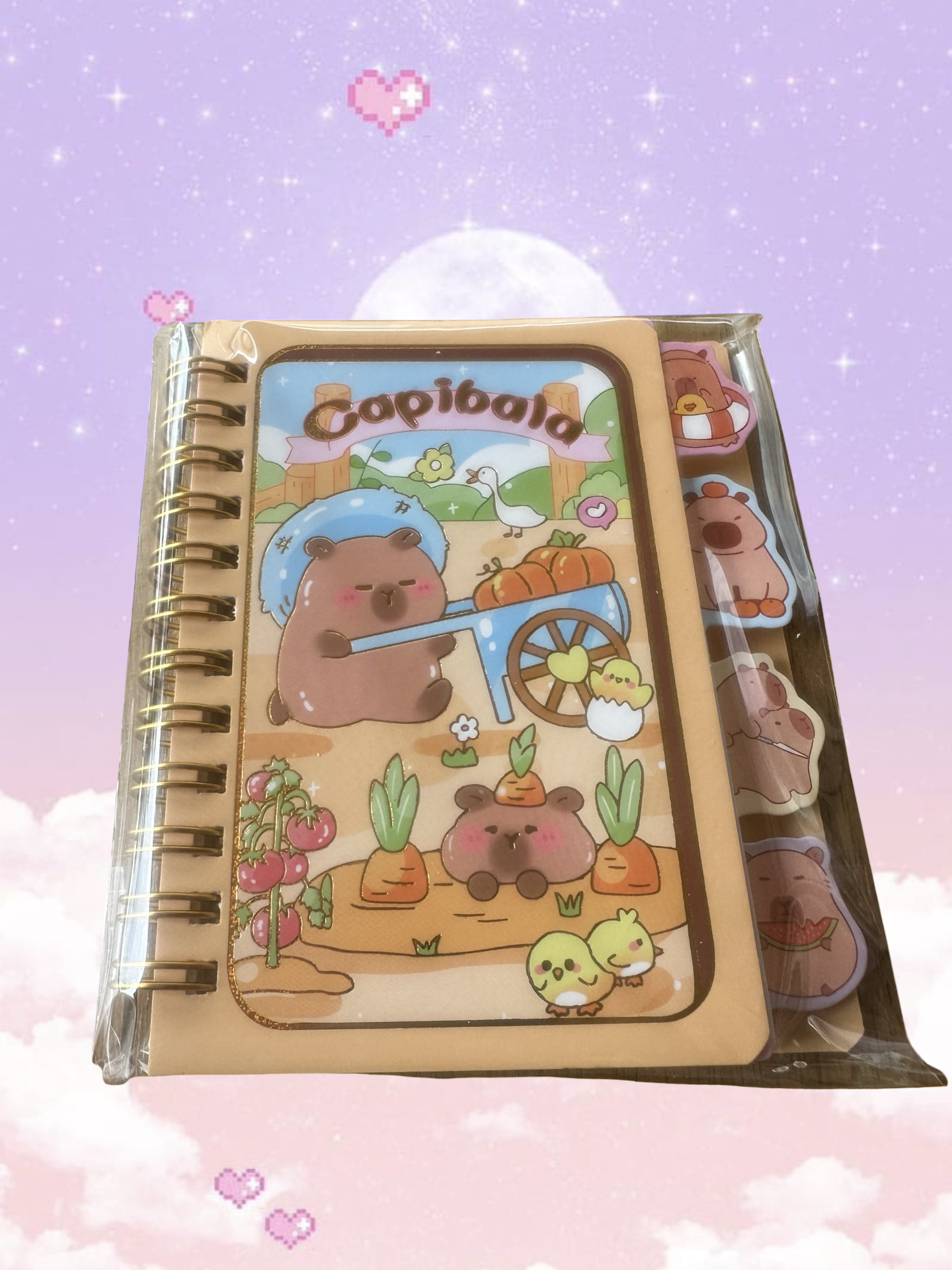 ✨  Capybara Capibala Kawaii Spiral Notebooks  ✨