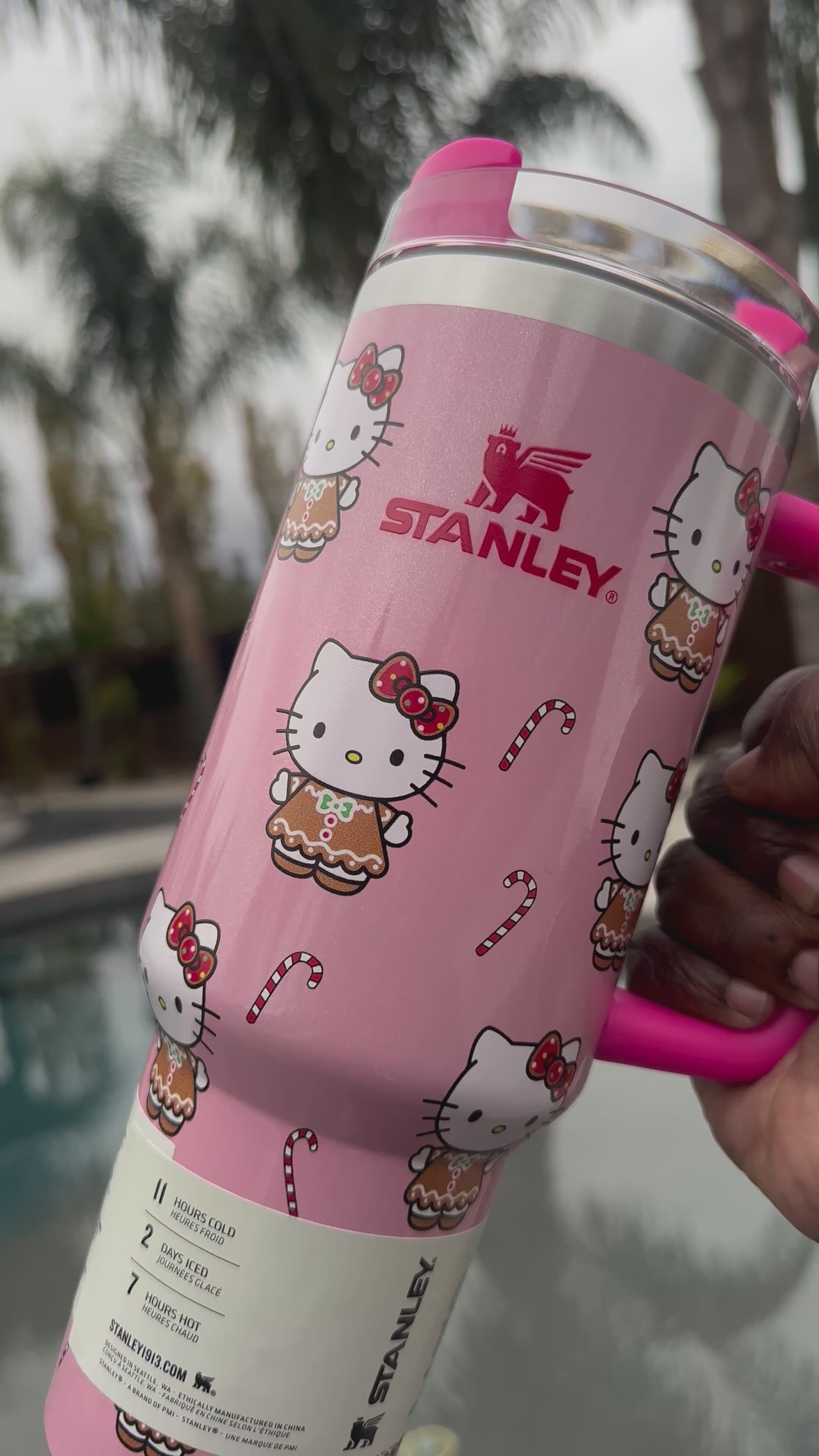 Hello Kitty X Stanley Inspired 40oz Christmas pink NEW STYLE