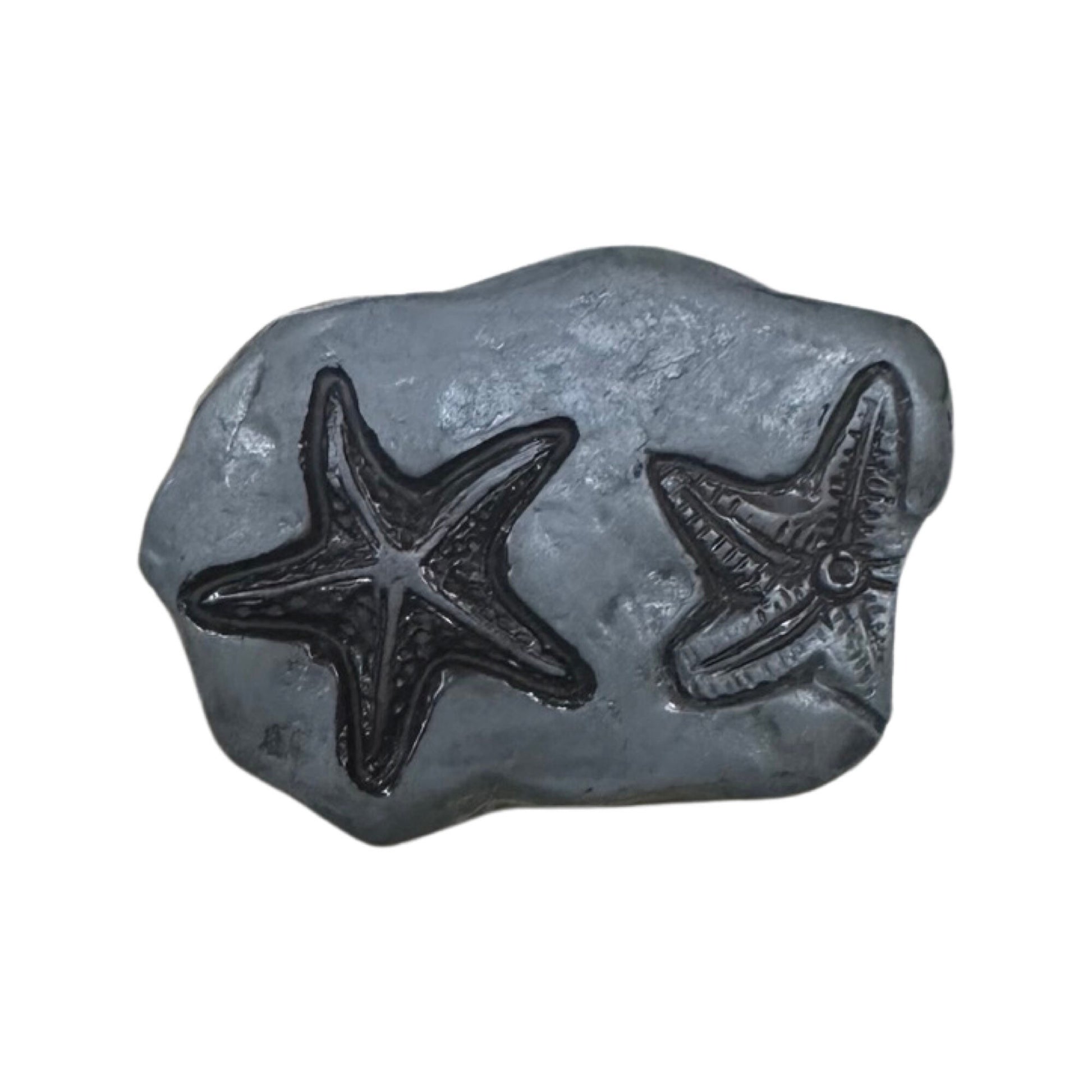 Fossil| fossil shoe charm| fossils| paleontology| shoe charms | gifts for boys| curiosity| Exploration| Starfish| Dinosaur, fossil|