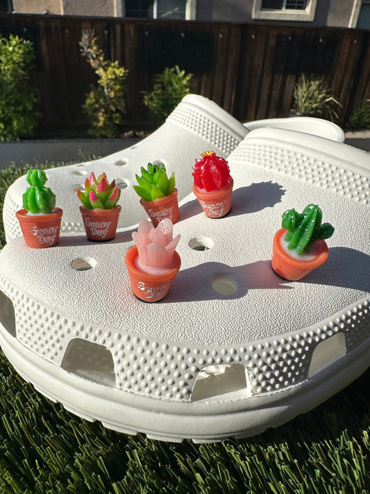 Succulent Shoe Charm |Cactus charm| Water charm | Potted plant |Plant Shoe Charm| Unique | Monstera | Spider Plant |Nature| succulent